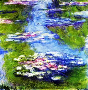 Waterlilies