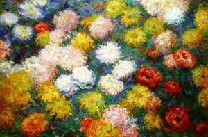 Chrysanthemums 2