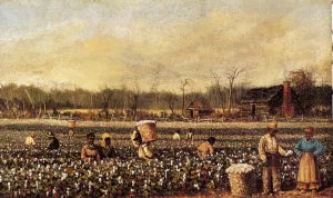 Cotton Picking in Front of the Quarters