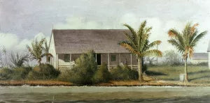 Cottage on Beach with Palm Trees Florida