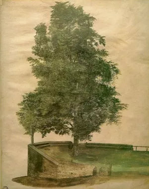 Linden Tree on a Bastion