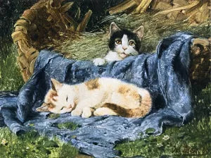 Two Kittens