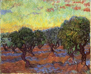 Olive Grove: Orange Sky