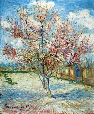 Peach Trees in Blossom