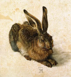 Young Hare