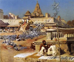 Feeding the Sacred Pigeons, Jaipur