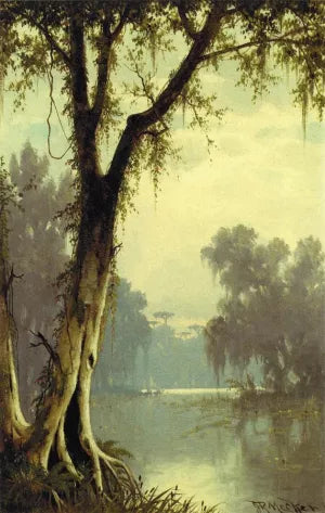 A Louisiana Bayou