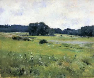 Meadow Lands