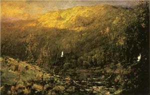 A Wooded Mountain Landscape