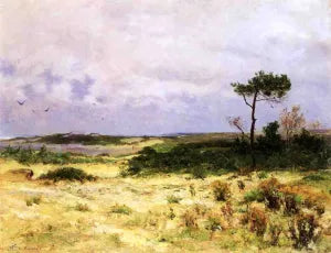 Annisquam Landscape