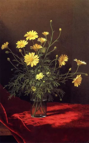 Golden Marguerites