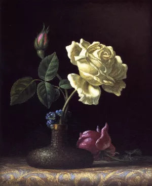 The White Rose