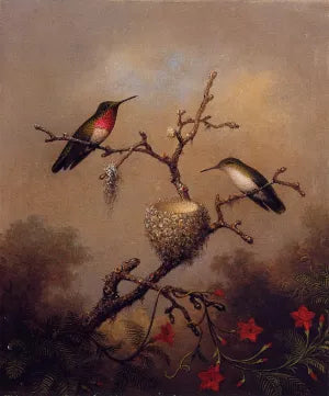 Ruby-Throated Hummingbird