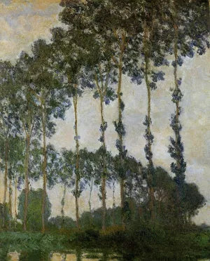 Poplars Near Giverny