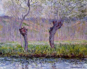 Willows in Springtime