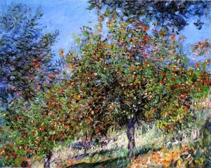 Apple Trees on the Chantemesle Hill