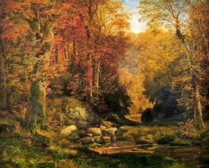 Woodland Interior with Rocky Stream