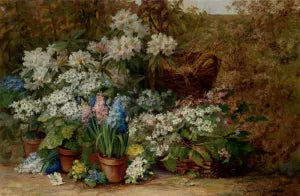 Still Life with Potted Plants in a Nursery