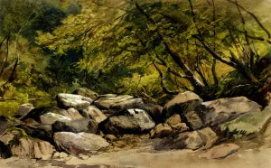 A Rocky Stream, Lyndale, Devon