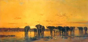 African Elephants