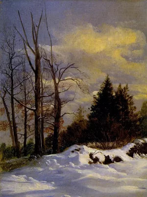 Catskill Winter Landscape