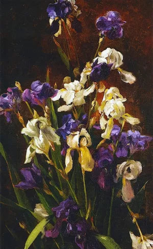 Irises