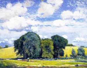 Summer Landscape